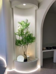 -VE专注问题肌·赛诺龙&科学美肤中心