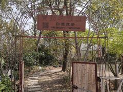 -菊园百果园