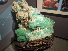 -湖南省地质博物馆