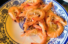 Great Sea Shrimp