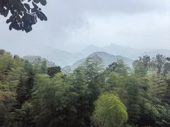 -莫干山风景区