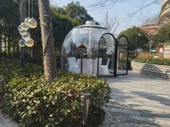 -杭州君悦酒店·青莳