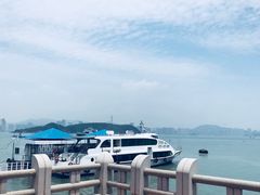 -国际邮轮中心码头(厦鼓码头)