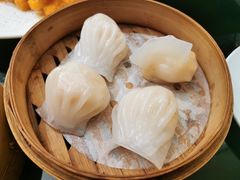 虾饺王-高第街56号餐厅(美莲广场店)