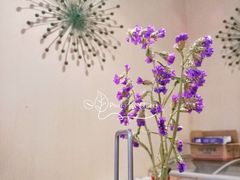 门面-黑松白鹿(崇文门新活馆店)