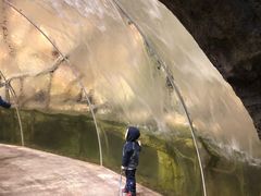 -哈尔滨波塞冬海底世界