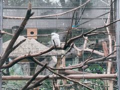 -成都动物园