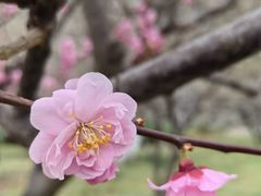 -北京明城墙遗址公园
