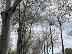 -元大都城垣遗址公园
