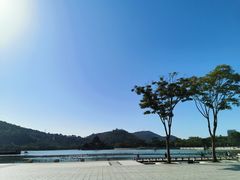 -顺峰山公园