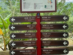 -四会奇石河风景区