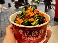-黑色经典臭豆腐·湖南特产(步行街店)