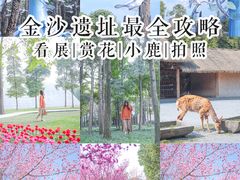 -金沙遗址博物馆