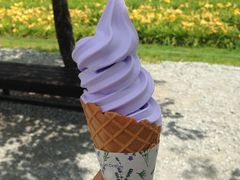 -富田农场