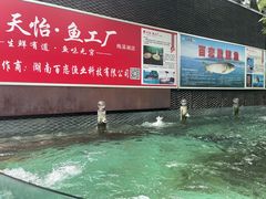 -天怡·鱼工厂(梅溪湖店)
