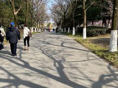 -白塘生态植物园