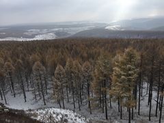 -塞罕坝国家级自然保护区