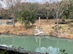 -宁波野生动物园