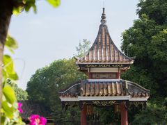 -顺峰山公园