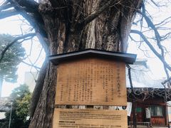 -医王山·飞騨国分寺