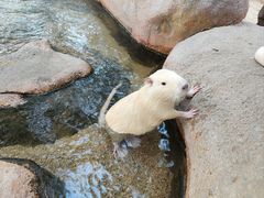 -北京野生动物园