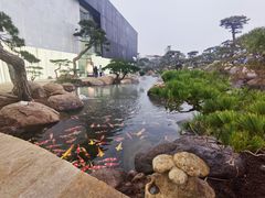 -罗红摄影艺术馆