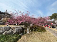 -江心屿景区