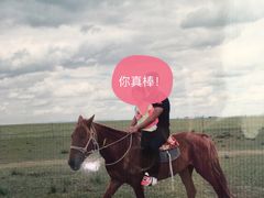 -贡格尔草原