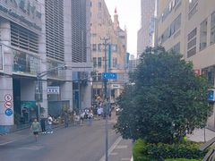 -BUS TOUR观光巴士