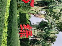-万绿园