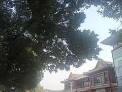 -糖葫芦王保定名吃(古莲花池店)