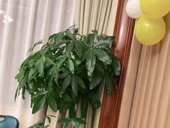 -梦都海鲜酒家(万达广场江桥店)