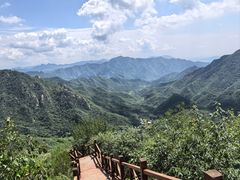 -大岭沟猕猴桃谷风景区