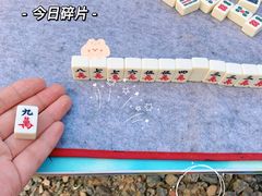 -武陵山森林公园