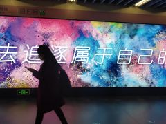 -大望路(地铁站)