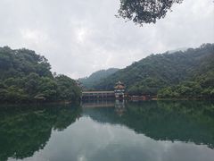 -鼎湖山风景区