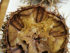 -海胆小馆(东北水饺·春柳店)