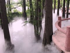 -东湖落雁景区