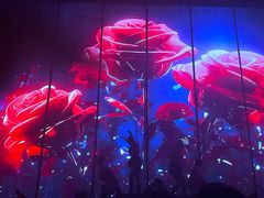 -CLUB OPUS欧贝斯酒吧(合肥店)