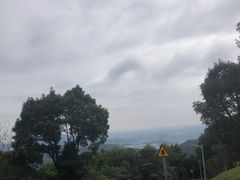-黄埔油麻山森林公园