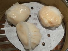 -糖朝(尖沙咀店)