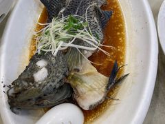 清蒸石斑鱼-海宝酒家(中山四路店)