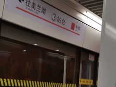 -杨高南路(地铁站)