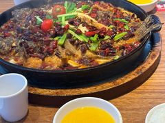 -老板恋上鱼(恒隆广场店)