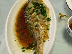 葱油大黄鱼-金海湾海鲜排档(朱家尖店)
