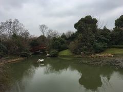 -桃花岛景观公园