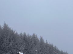 -密苑云顶乐园(云顶滑雪场)