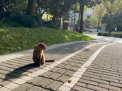 -苏州河梦清园环保主题公园