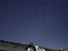 -芦芽山旅游度假区