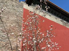 -东华门大街小区